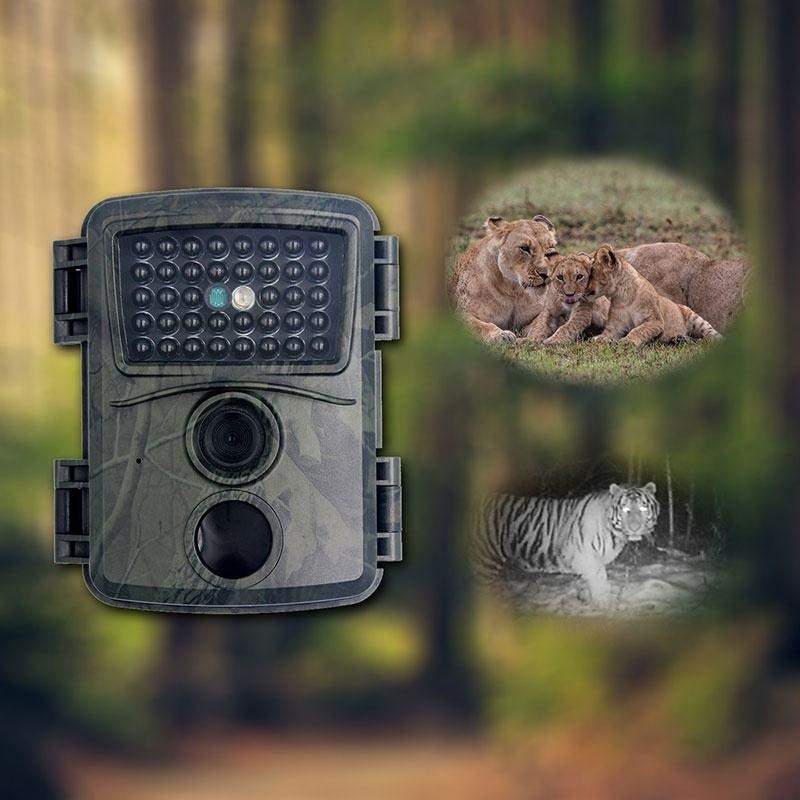 20Mp 1080P Infrared Cameras With 38 Ir Lamps For Hd Monitoring PRL-23014060DBT