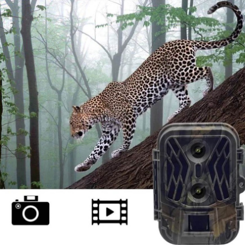 50Mp 4K Dual Lens Infrared Hunting Camera For Outdoor Rainfall And Fog PRL-1010014060DBT