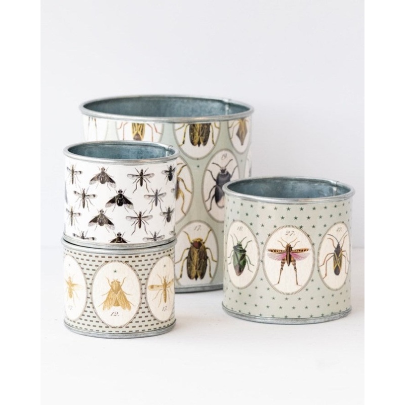 tin-planter-bugtasia-taupe-set-of-4 V758-CV20001