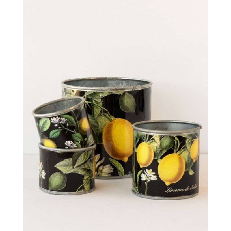 tin-planter-lemons-set-of-4 V758-CV20009