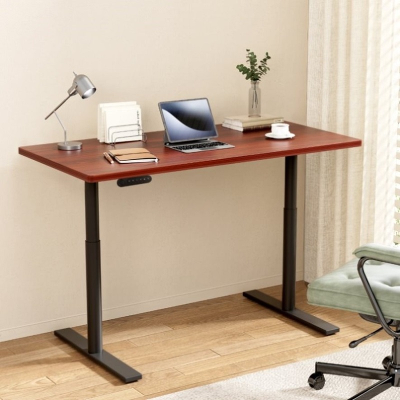 Artiss Standing Desk Motorised Electric Dual Motor Walnut 120CM HASD-B-M10-BKDF-WADB-120