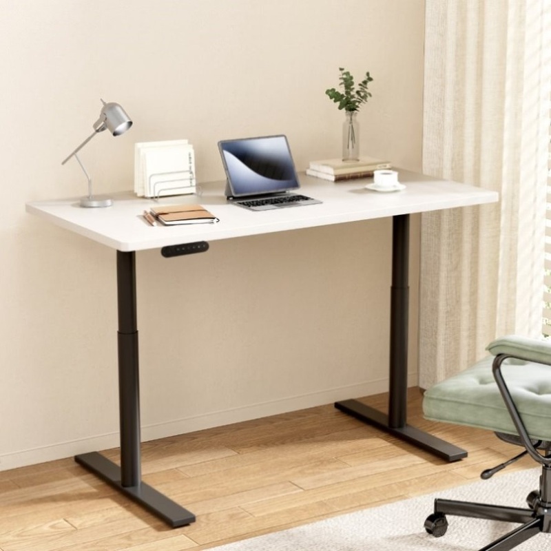 Artiss Standing Desk Motorised Electric Dual Motor White 140CM HASD-B-M10-BKDF-WHDB-140