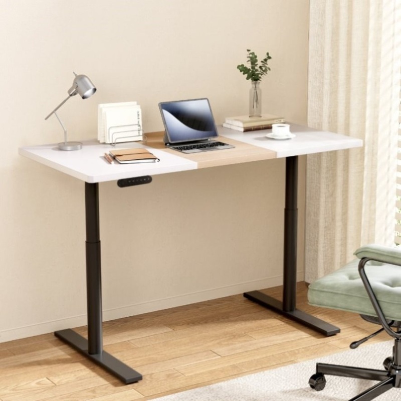 Artiss Standing Desk Motorised Electric Dual Motor 120CM HASD-B-M10-BKDF-NWDB-120