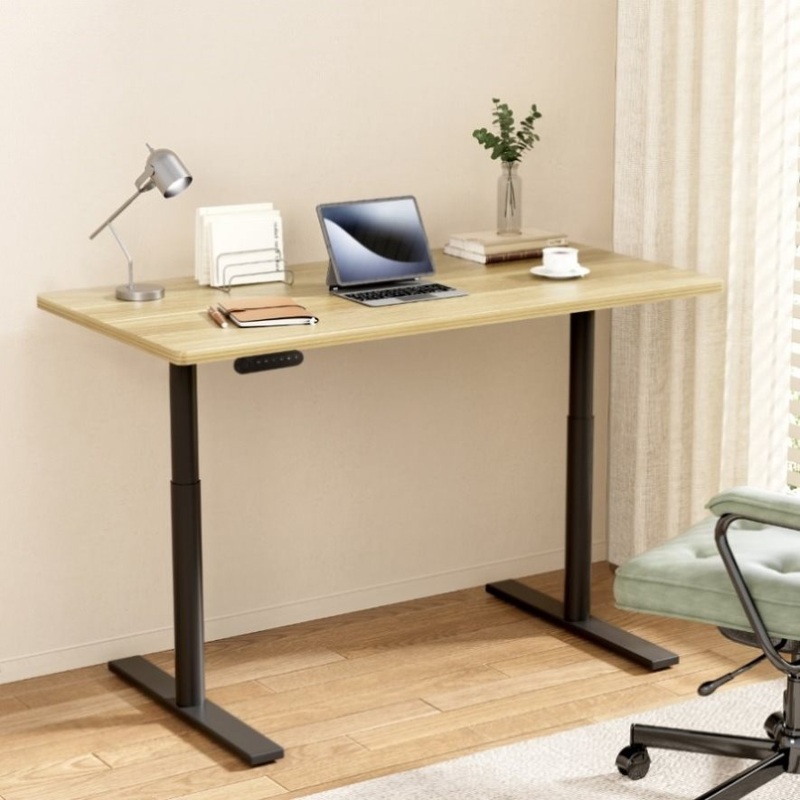 Artiss Standing Desk Motorised Electric Dual Motor White Oak 120CM HASD-B-M10-BKDF-NTDB-120