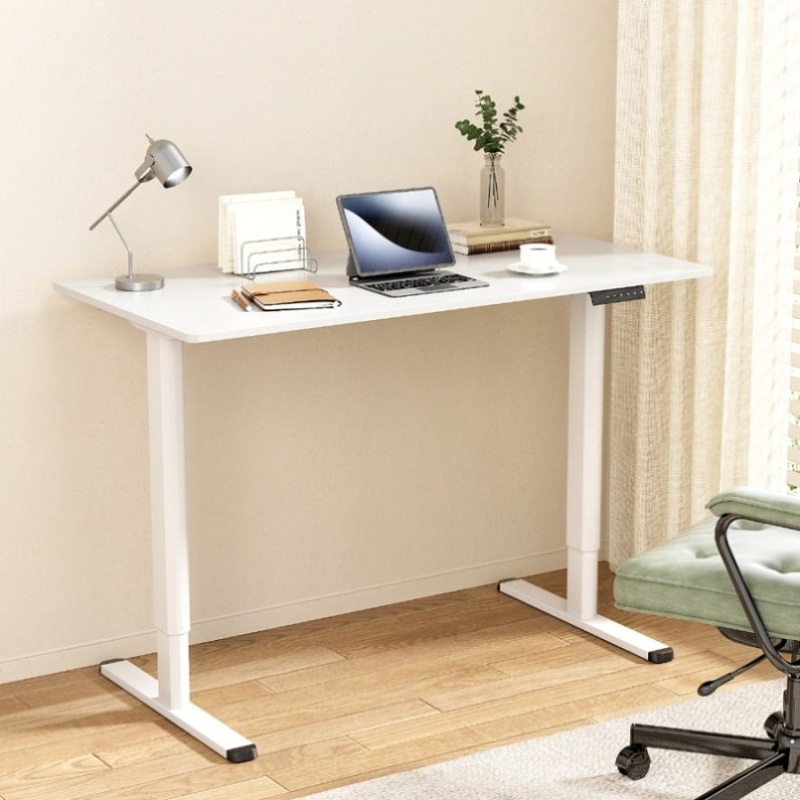 Artiss Electric Standing Desk Sit Stand Desks 120CM HASD-ET157-WH