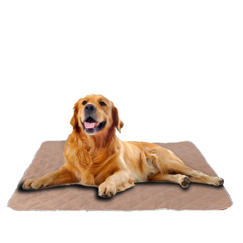2pcs Waterproof Washable Training Pee Pads – Jumbo 69_DK1010-JUMBO-2