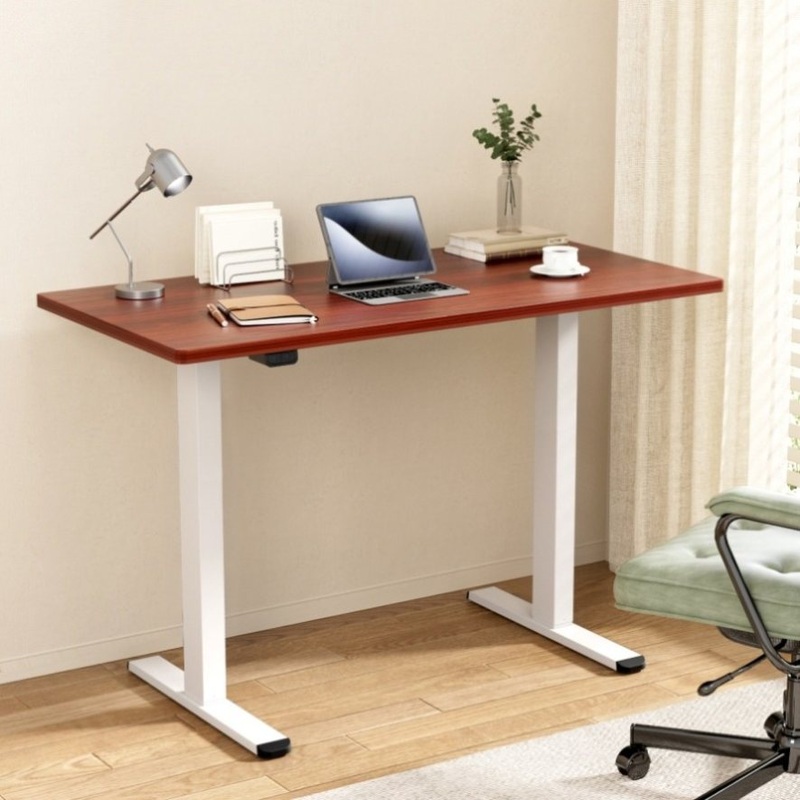 Artiss Standing Desk Motorised Dual Motor 140CM Walnut HASD-268-WHDF-WADB-140