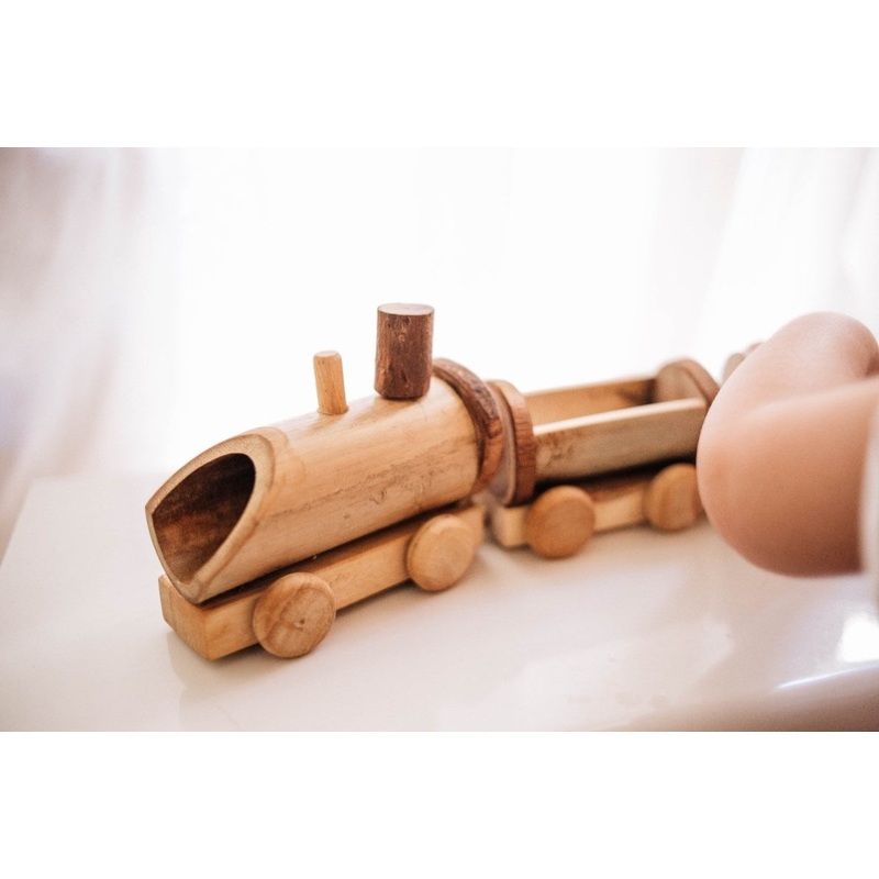 Bamboo Train V59-617