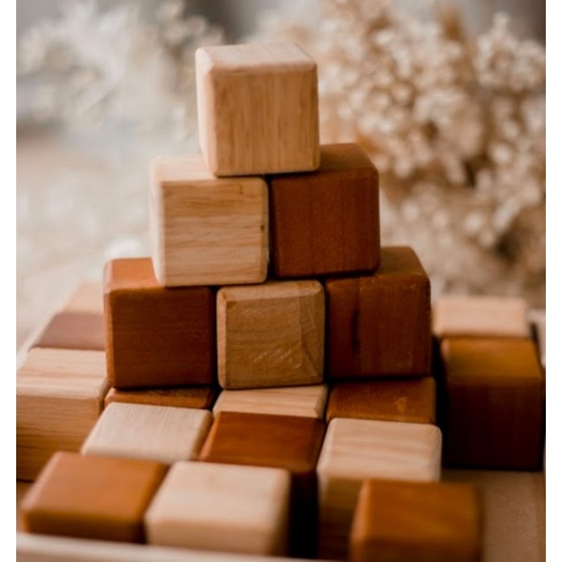 My First Natural Blocks 25 pcs V59-661