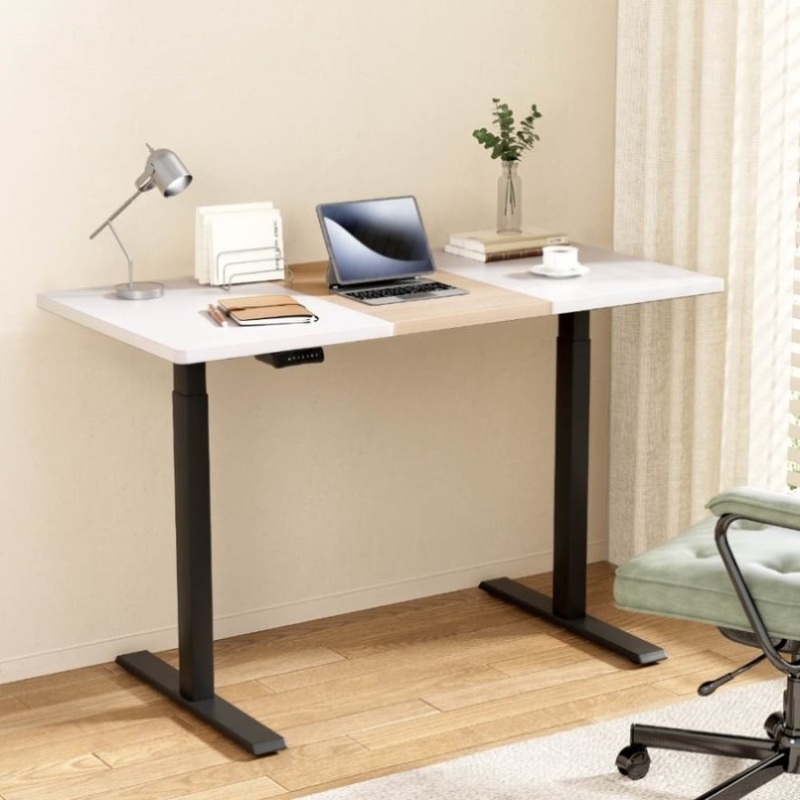 Artiss Standing Desk Motorised Electric Dual Motor 120CM HASD-268-BKDF-NWDB-120