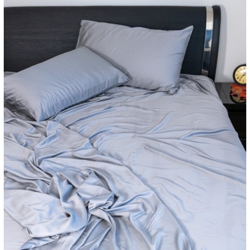 100% Lyocell Bedsheet Set Double V496-LCDSG