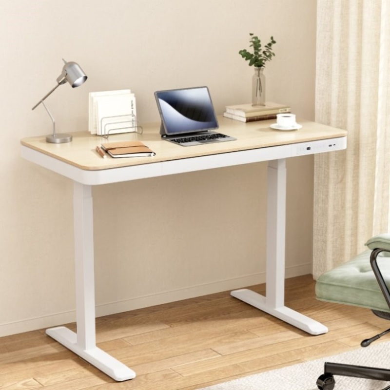 Artiss Standing Desk Motorised Electric Dual Motor Draw 120CM Oak HASD-B-S08-NW