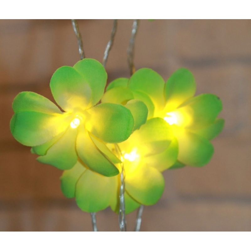 1 Set of 20 LED Green Frangipani Flower Battery String Lights Christmas Gift Home Wedding Party V382-GRFRANGIBATT20
