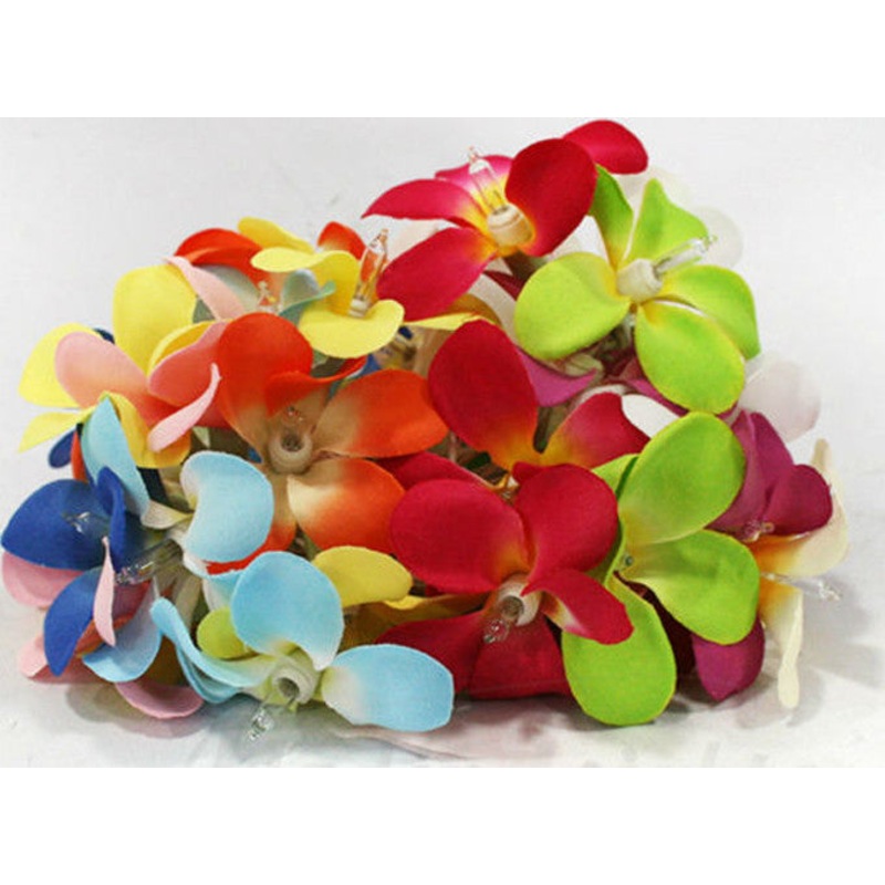 1 Set of 20 LED Tropical Bright Colous Frangipani Flower Battery String Lights Christmas Gift Home V382-TROPFRANGIBATT20